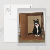 Carte Postale Lucy dans une boîte (Devant / Derrière)