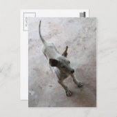 Carte Postale Luk Maa ... Chien chiot thaïlandais Soi (Devant / Derrière)