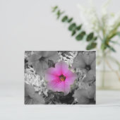 Carte Postale Lumière (Debout devant)