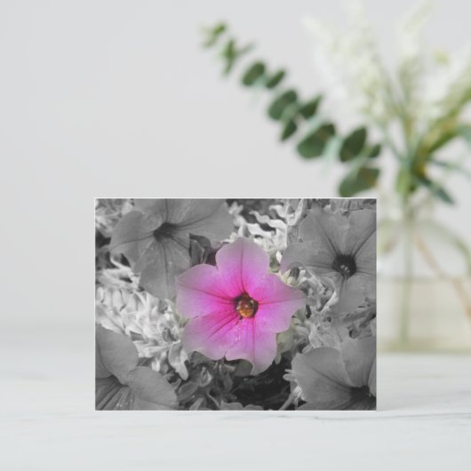 Carte Postale Lumière (Debout devant)