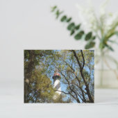 CARTE POSTALE LUMIÈRE À TRAVERS LES ARBRES (Debout devant)