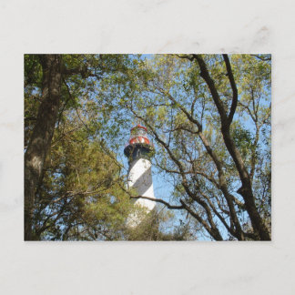 CARTE POSTALE LUMIÈRE À TRAVERS LES ARBRES