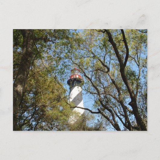CARTE POSTALE LUMIÈRE À TRAVERS LES ARBRES (Devant)