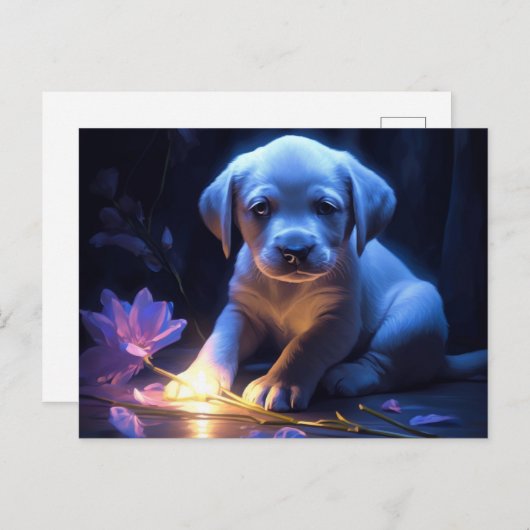 Carte Postale lumière bleue (Devant / Derrière)