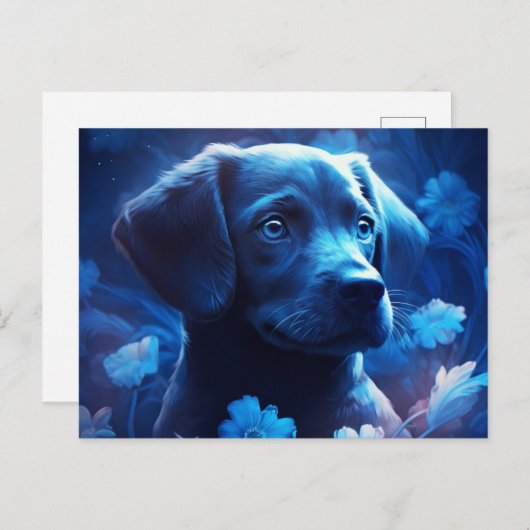 Carte Postale lumière bleue (Devant / Derrière)