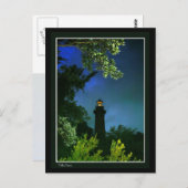 Carte Postale Lumière Corolla (Devant / Derrière)