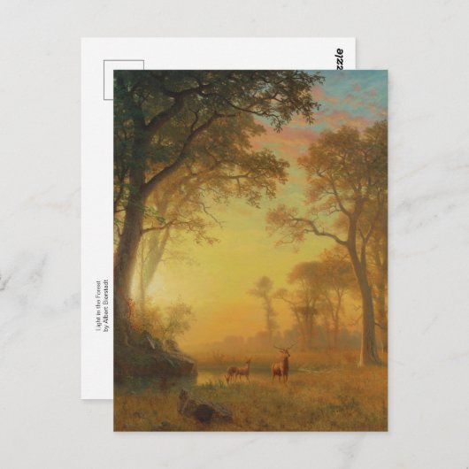 Carte Postale Lumière dans la forêt par Albert Bierstadt (Devant / Derrière)