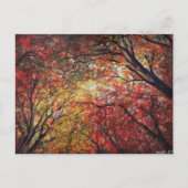 Carte Postale Lumière d'automne (Devant)