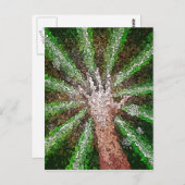 Carte Postale Lumière de capture (Devant / Derrière)