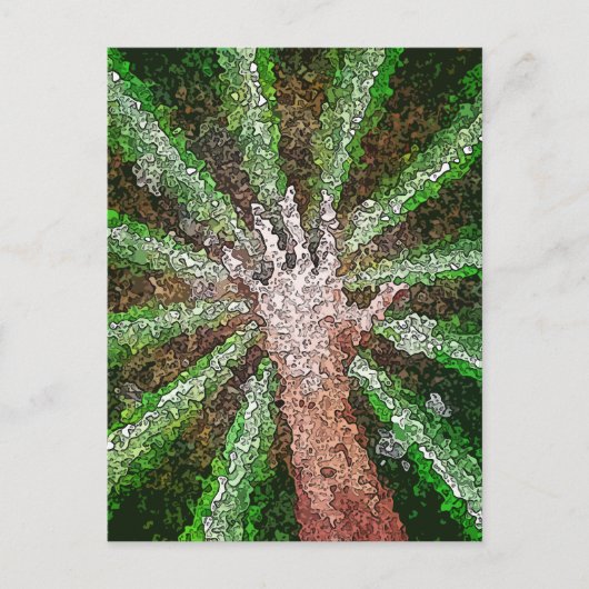 Carte Postale Lumière de capture (Devant)