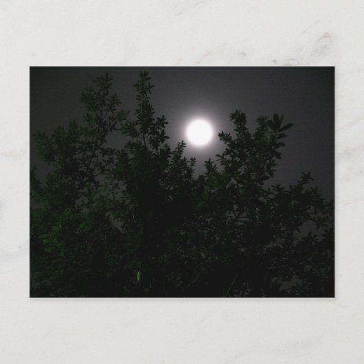 Carte Postale Lumière de la lune (Devant)