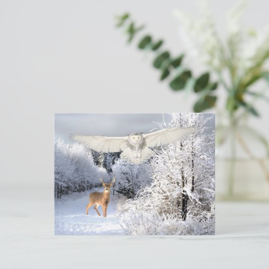 Carte Postale "Lumière de neige" (Debout devant)