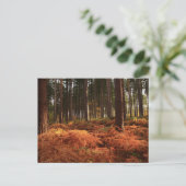 Carte Postale Lumière d'octobre (Debout devant)