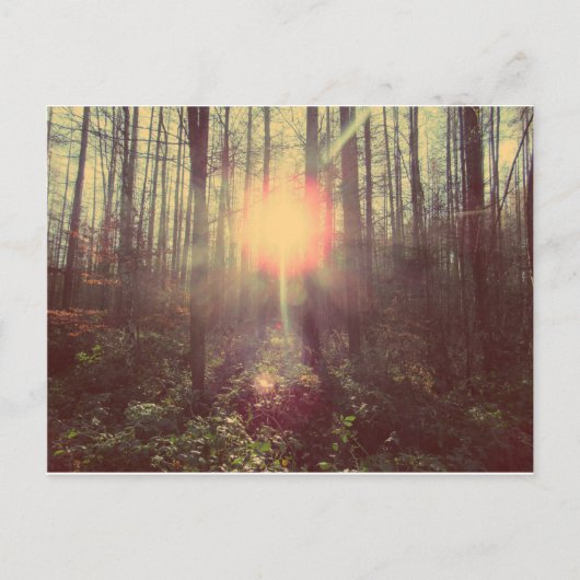 Carte Postale Lumière du ciel (Devant)