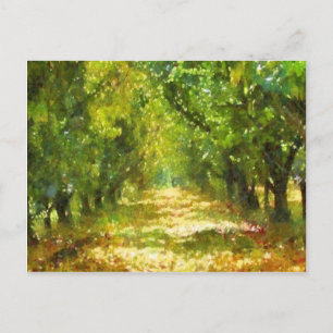 Carte Postale Lumière du jour rêve Arbre Avenue Art