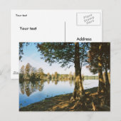 Carte Postale Lumière du matin (Devant / Derrière)