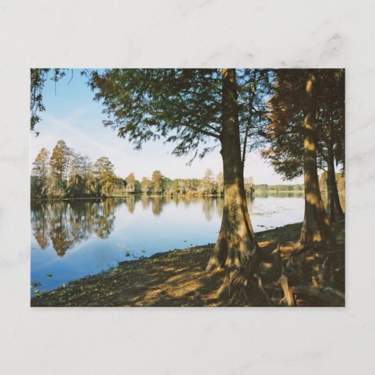 Carte Postale Lumière du matin (Devant)