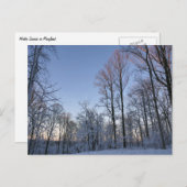 Carte Postale Lumière du matin d'hiver I (Devant / Derrière)