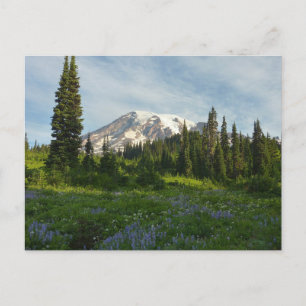 Carte Postale Lumière du matin sur le mont Rainier