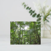 Carte Postale Lumière du soleil à travers la canopée de la forêt (Debout devant)