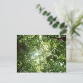 Carte Postale Lumière du soleil qui circule à travers les Feuill (Debout devant)