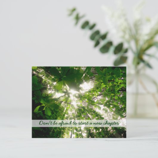 Carte Postale Lumière du Soleil Traversant les arbres Feuille en (Debout devant)