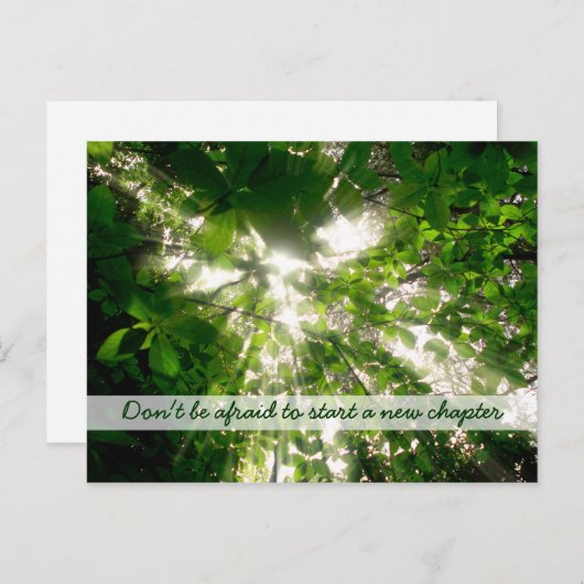 Carte Postale Lumière du Soleil Traversant les arbres Feuille en (Devant / Derrière)