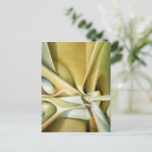 Carte Postale Lumière du temps (Debout devant)