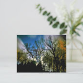 Carte Postale Lumière nocturne (Debout devant)