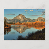 Carte Postale Lumière précoce dans le Wyoming à Oxbow Bend (Devant)