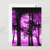 Carte Postale Lumière violette avec arbres silhouettes (Devant / Derrière)