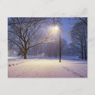 Carte Postale Lumières de rue et couvert de neiges