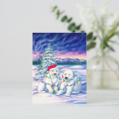 Carte Postale Lumières du Nord (Debout devant)