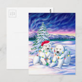 Carte Postale Lumières du Nord (Devant / Derrière)