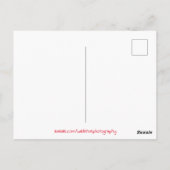 Carte Postale Lumières du Nord canadien (Dos)