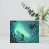 Carte Postale Lumières du Nord en hiver (Debout devant)