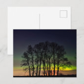 Carte Postale Lumières du Nord | Manitoba Canada Grande Pointe (Devant / Derrière)