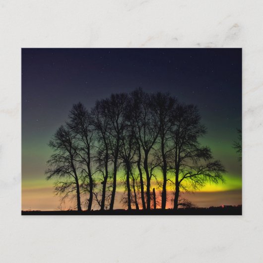 Carte Postale Lumières du Nord | Manitoba Canada Grande Pointe (Devant)