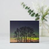 Carte Postale Lumières du Nord | Manitoba Canada Grande Pointe (Debout devant)