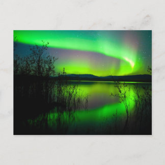 Carte Postale Lumières du Nord sur le lac