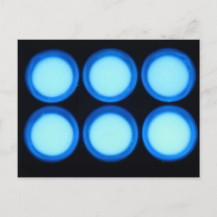 Carte Postale Luminescence bleue