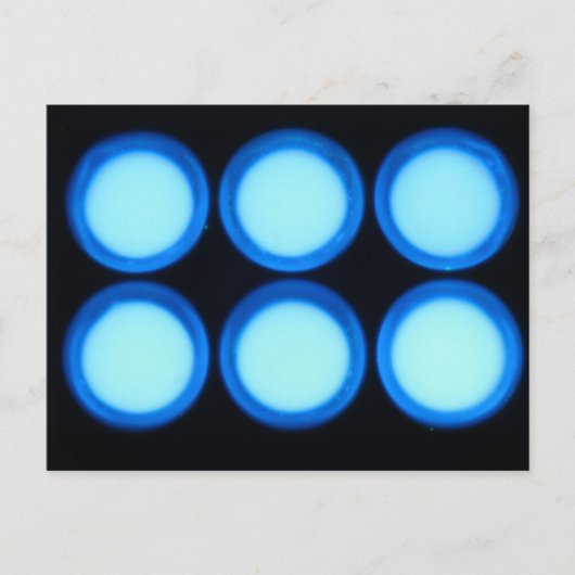 Carte Postale Luminescence bleue (Devant)