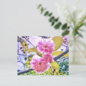 CARTE POSTALE LUMINEUSE 3PINK BLOSSOMS (Debout devant)