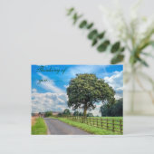 Carte postale lumineuse d'arbre (Debout devant)