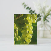Carte postale lumineuse de raisins (Debout devant)