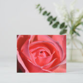 Carte postale lumineuse de rose de rose (Debout devant)
