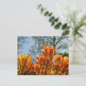 Carte postale Lumineuse Tulipes Orange (Debout devant)