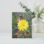 Carte Postale Luminosité du dandelion (Debout devant)