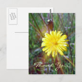 Carte Postale Luminosité du dandelion (Devant / Derrière)