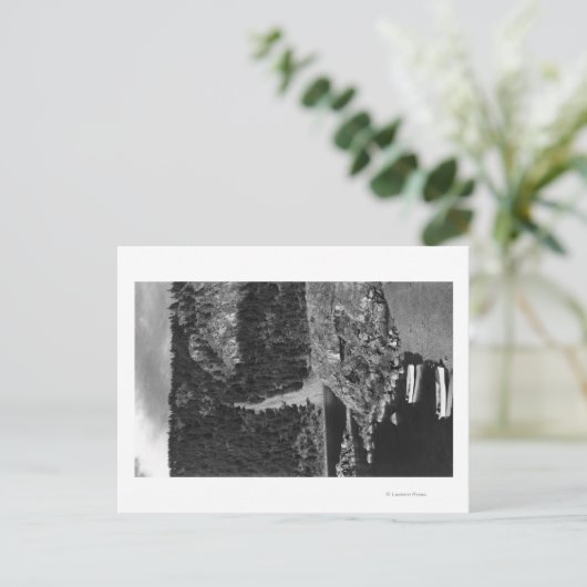 Carte Postale Lummi Island, WA - Lummi Rocks Vue avec ligne (Debout devant)